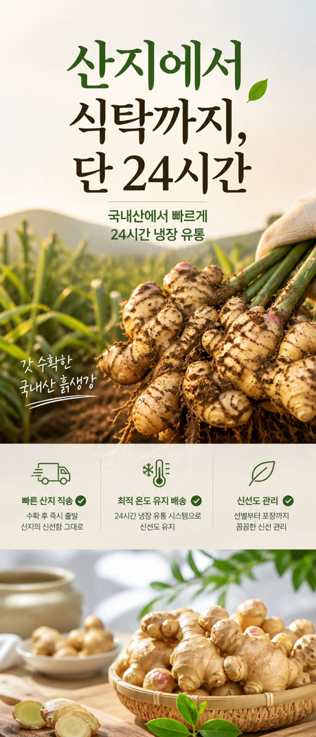 실제 생성 상세페이지 18